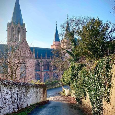 Schoenster Blick Auf Oppenheim! 外观 照片